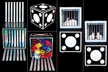 Flowers and Cages Cube Version 3 fleurs & 3 cages