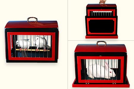 Transformation de cage à colombes en cage à lapi