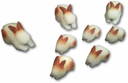 3D Rabbits