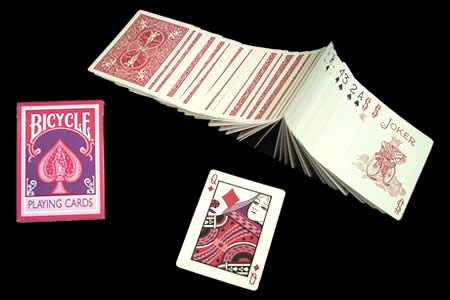 Berry BICYCLE Deck