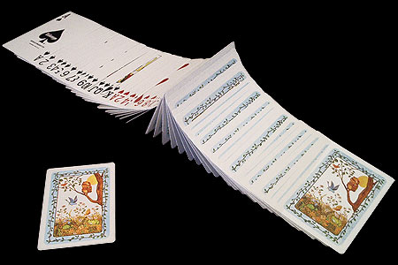 Illustrated TRUMP Deck - Spring