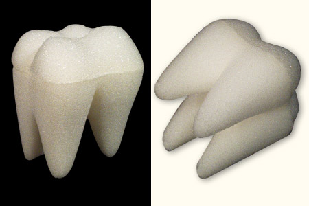 Small Sponge Tooth
