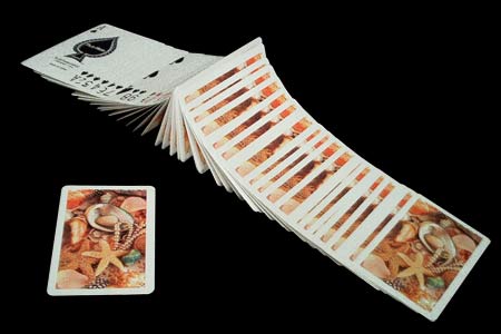 PLA-MOR Deck Sea Shells Back