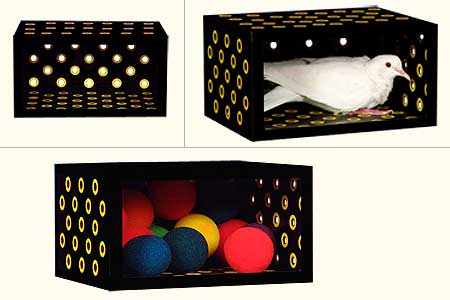 Black Box (Tora)