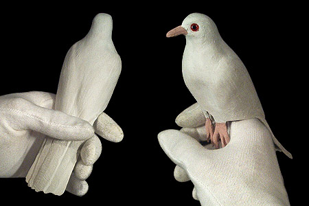 Fake Sponge Dove